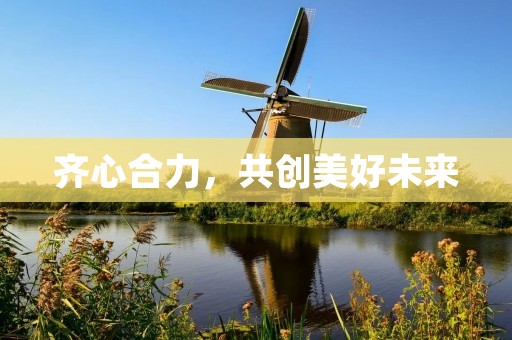 齐心合力,共创美好未来 齐心合力,共创美好未来