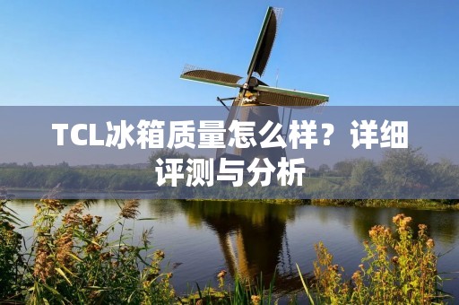 TCL冰箱质量怎么样？详细评测与分析