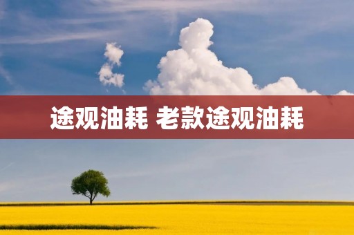 途观油耗 老款途观油耗
