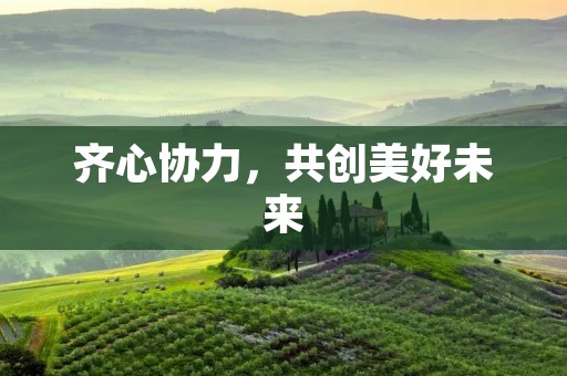齐心协力,共创美好未来 齐心协力,共创美好未来