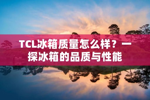 TCL冰箱质量怎么样?一探冰箱的品质与性能 TCL冰箱质量怎么样?一探冰箱的品质与性能
