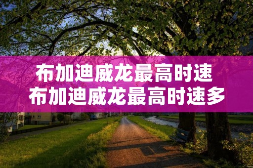 布加迪威龙最高时速 布加迪威龙最高时速多少公里每小时 布加迪威龙最高时速 布加迪威龙最高时速多少公里每小时