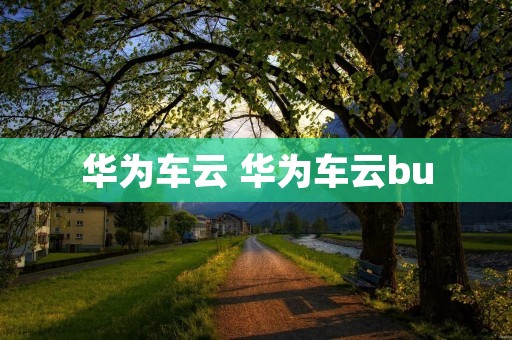 华为车云 华为车云bu