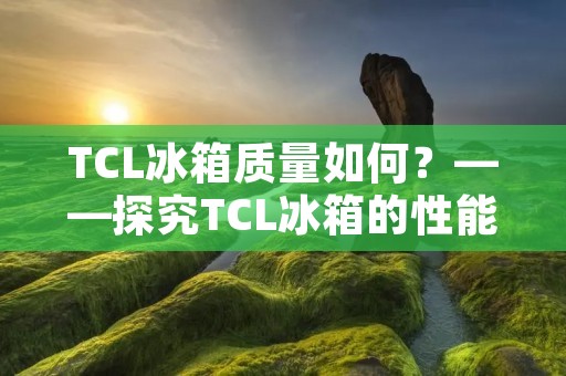 TCL冰箱质量如何?——探究TCL冰箱的性能和质量 TCL冰箱质量如何?——探究TCL冰箱的性能和质量
