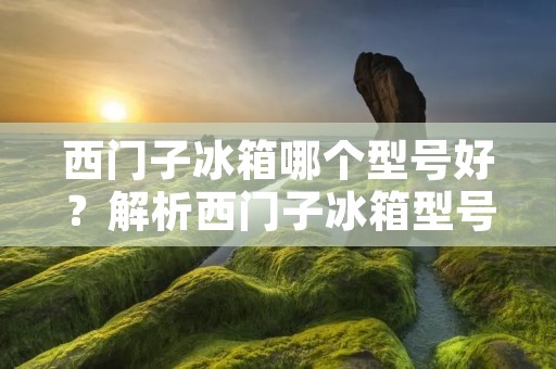 西门子冰箱哪个型号好？解析西门子冰箱型号的优势与特点