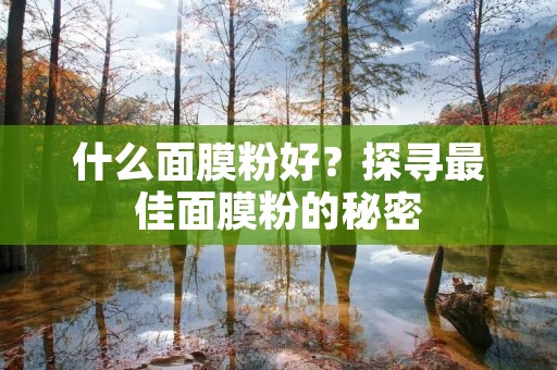 什么面膜粉好?探寻最佳面膜粉的秘密