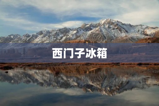 西门子冰箱：合资品牌背后的精湛工艺与品质保证