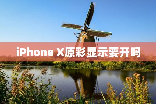 iPhone X原彩显示要开吗