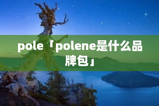 pole「polene是什么品牌包」 pole「polene是什么品牌包」