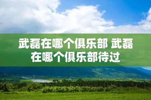 武磊在哪个俱乐部 武磊在哪个俱乐部待过