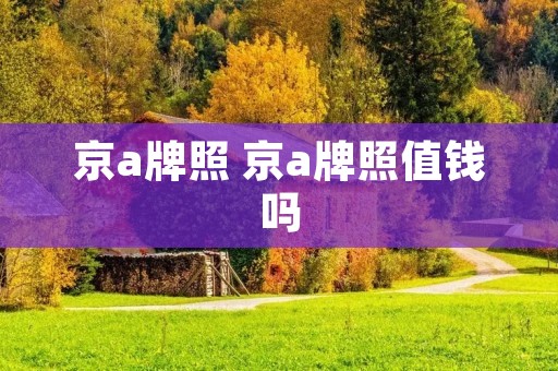 京a牌照 京a牌照值钱吗
