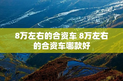 8万左右的合资车 8万左右的合资车哪款好
