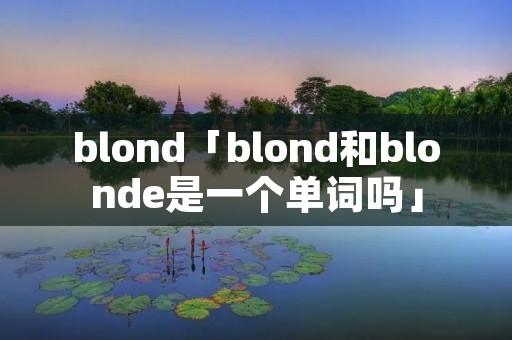 blond「blond和blonde是一个单词吗」