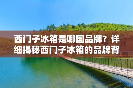 西门子冰箱是哪国品牌?详细揭秘西门子冰箱的品牌背景和特点 西门子冰箱是哪国品牌?详细揭秘西门子冰箱的品牌背景和特点