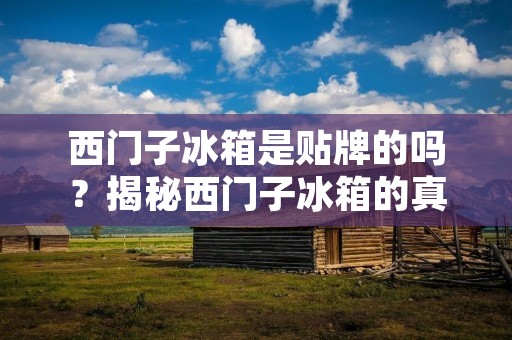 西门子冰箱是贴牌的吗?揭秘西门子冰箱的真相 西门子冰箱是贴牌的吗?揭秘西门子冰箱的真相
