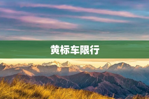黄标车限行：对环境保护的重要举措