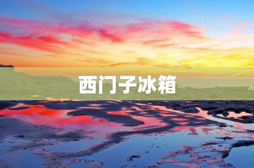 西门子冰箱:德国品质的代表 西门子冰箱:德国品质的代表