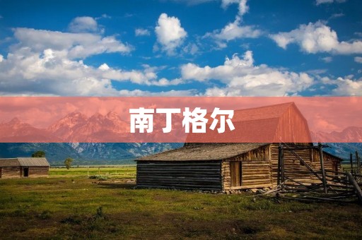 南丁格尔:护理事业的先驱者
