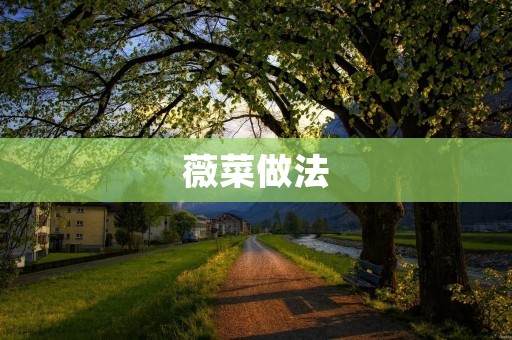 薇菜做法：清新美味的蔬菜佳肴