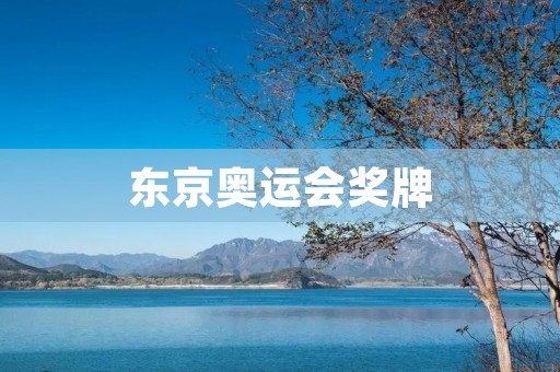 东京奥运会奖牌：荣耀与努力的象征