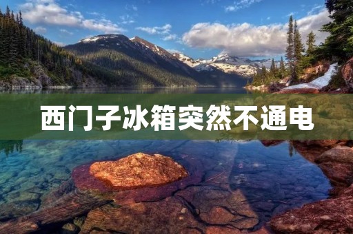 西门子冰箱突然不通电：解决方法和预防措施