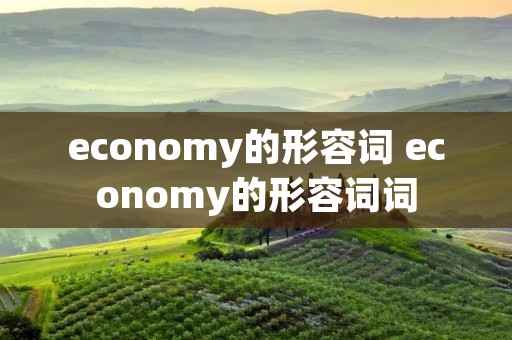 economy的形容词 economy的形容词词