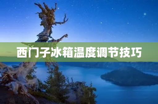 西门子冰箱温度调节技巧