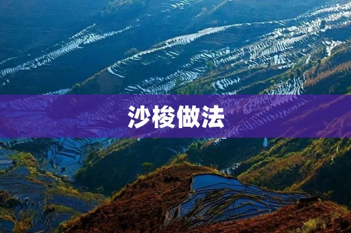 沙梭做法:传统美味的制作方法 沙梭做法:传统美味的制作方法