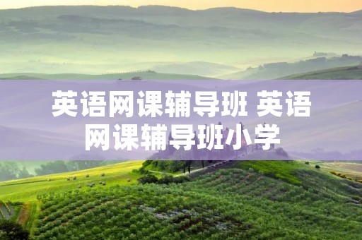 英语网课辅导班 英语网课辅导班小学