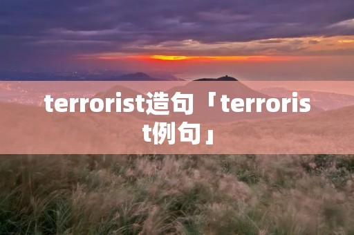 terrorist造句「terrorist例句」