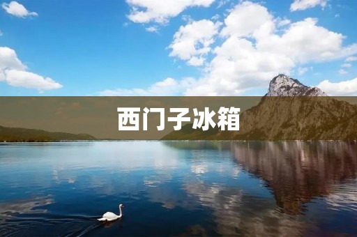 西门子冰箱：品质与创新的完美结合
