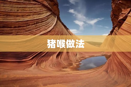 猪喉做法：美味佳肴的制作秘诀