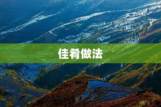 佳肴做法：让你的餐桌上充满美味与惊喜