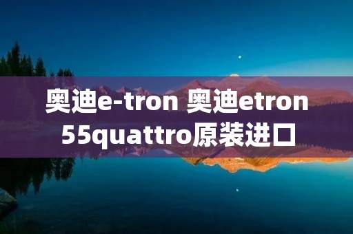 奥迪e-tron 奥迪etron55quattro原装进口