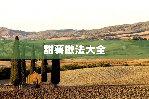 甜薯做法大全：丰富多样的美味佳肴！