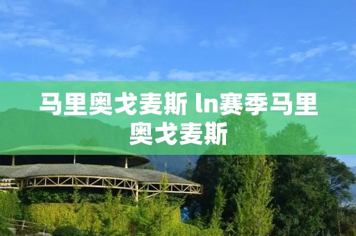马里奥戈麦斯 ln赛季马里奥戈麦斯