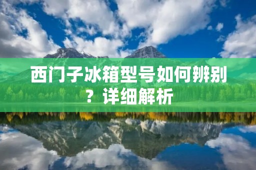 西门子冰箱型号如何辨别？详细解析