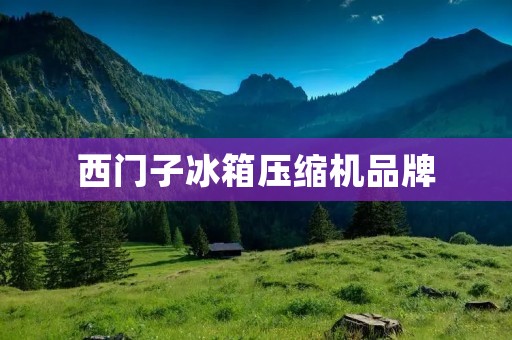 西门子冰箱压缩机品牌：创新技术与卓越品质的典范