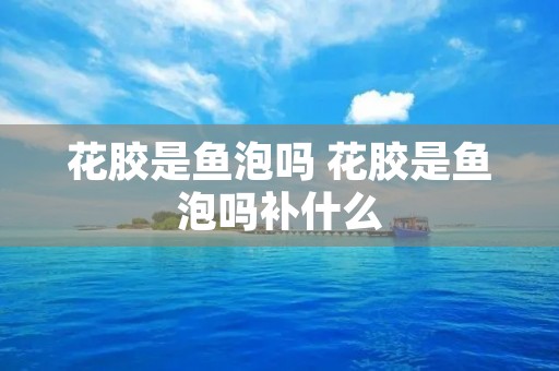 花胶是鱼泡吗 花胶是鱼泡吗补什么