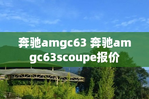 奔驰amgc63 奔驰amgc63scoupe报价