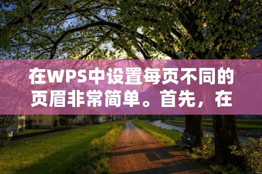 在WPS中设置每页不同的页眉非常简单。首先，在页面上方选择“视图”选项卡，然后点击“页眉和页脚”按钮。接下来，在页眉区域中，选择“不同的奇偶页”或“不同的第一页”，这样就可以在每页设置不同的页眉。