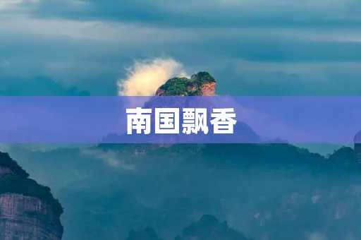 南国飘香：探寻中国烹饪的瑰宝