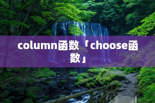 column函数「choose函数」 column函数「choose函数」