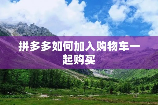 拼多多如何加入购物车一起购买