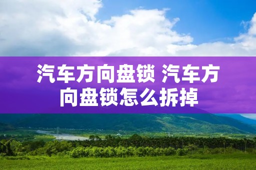 汽车方向盘锁 汽车方向盘锁怎么拆掉 汽车方向盘锁 汽车方向盘锁怎么拆掉
