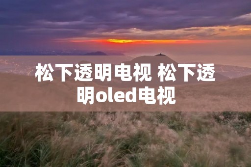 松下透明电视 松下透明oled电视