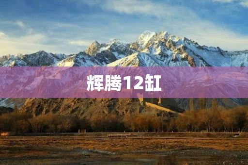 辉腾12缸:奢华与性能的完美结合 辉腾12缸:奢华与性能的完美结合