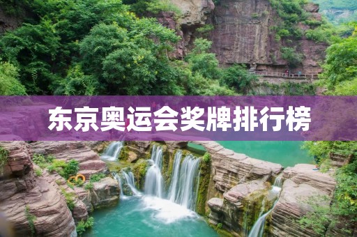东京奥运会奖牌排行榜：争夺金牌荣誉的竞技盛宴
