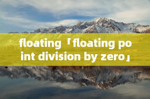floating「floating point division by zero」
