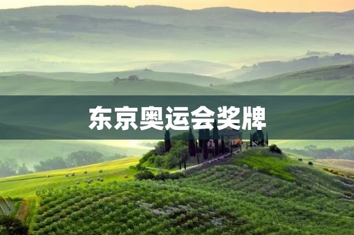 东京奥运会奖牌：废品的再生与创新